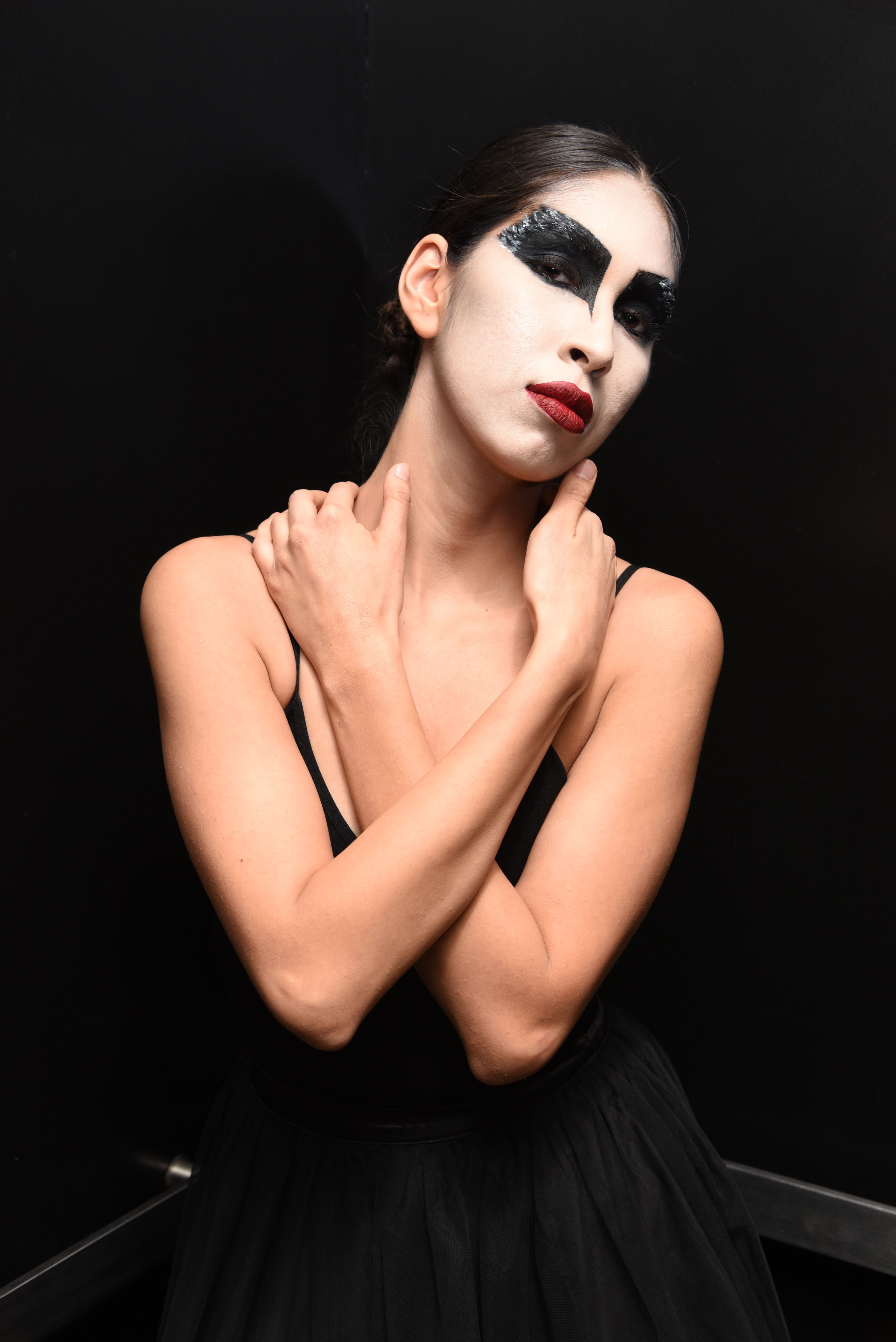 BLACK SWAN MODEL